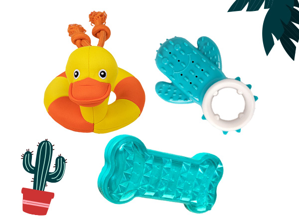 Brinquedos de exterior para cães e gatos